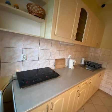 Apartament W Willi Cis Krynica-Zdrój Zewnętrze zdjęcie