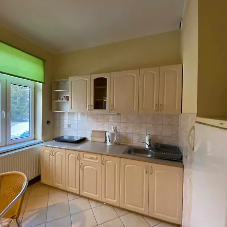 Apartament W Willi Cis Krynica-Zdrój Zewnętrze zdjęcie