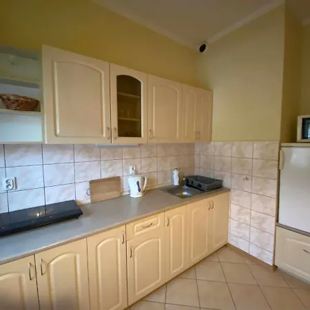 Apartament W Willi Cis Krynica-Zdrój Zewnętrze zdjęcie